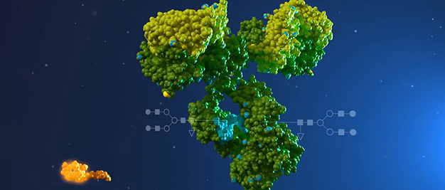 Antibody Drug Conjugates Characterization